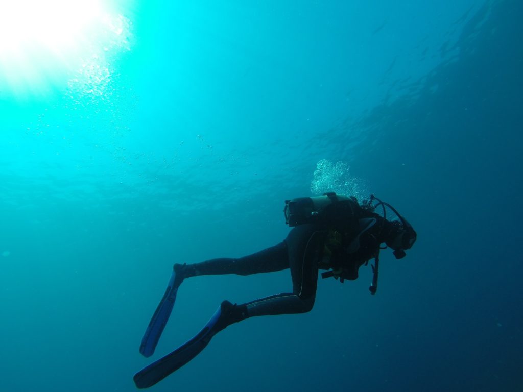 Plongée sous-marine : cinq conseils pour se lancer